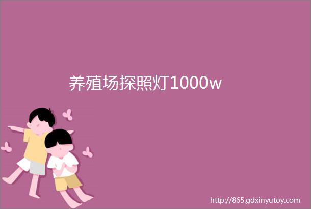 养殖场探照灯1000w