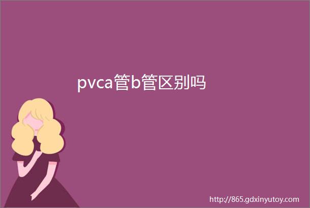 pvca管b管区别吗