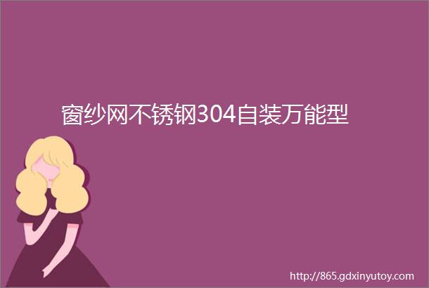 窗纱网不锈钢304自装万能型