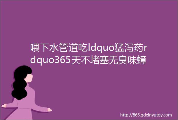 喂下水管道吃ldquo猛泻药rdquo365天不堵塞无臭味蟑螂虫子再也不来你家