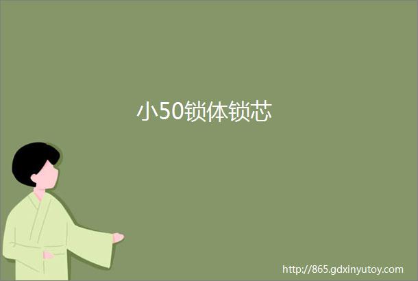 小50锁体锁芯